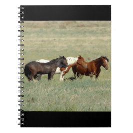 Cuaderno Manada de caballos salvajes
