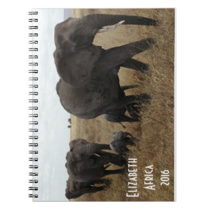 Cuaderno Manada de elefantes caminando