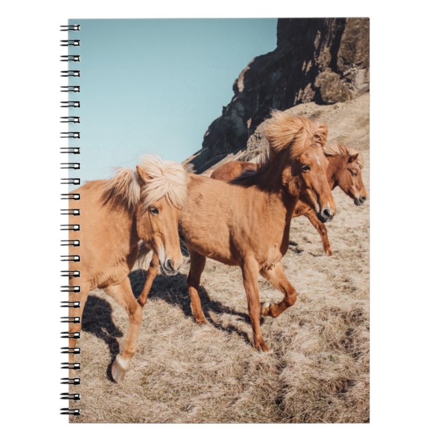 Cuaderno Manada de Ponies salvajes (Frente)