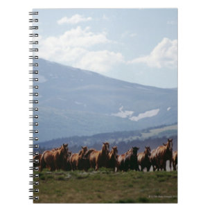 Cuaderno Manada móvil del vaquero de caballos