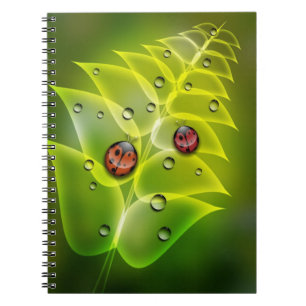 Cuaderno Mañana de la mariquita