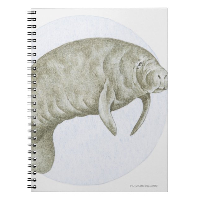 Cuaderno Manatee (Frente)