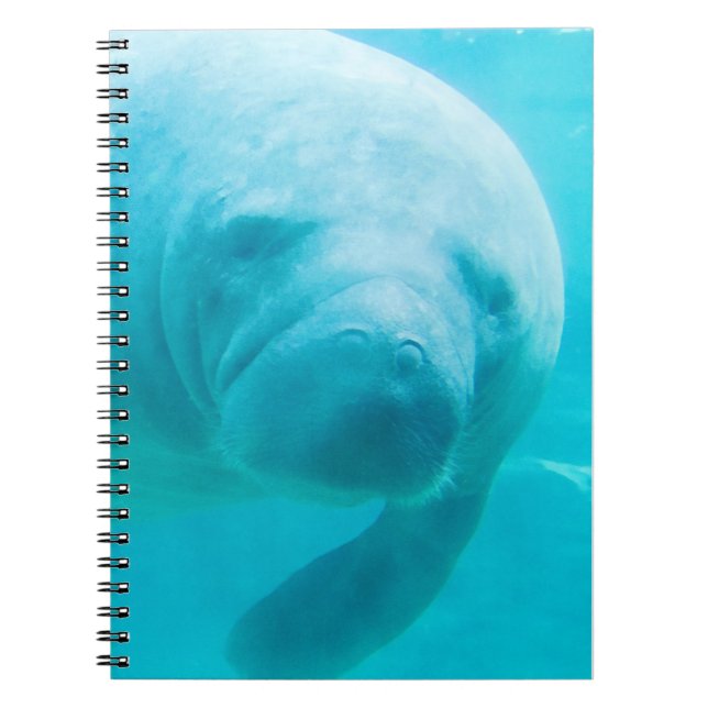 Cuaderno Manatee (Frente)