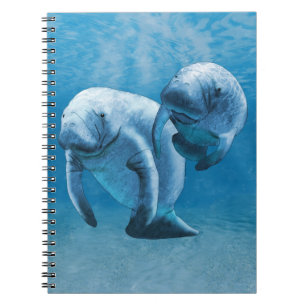 Cuaderno Manatíes