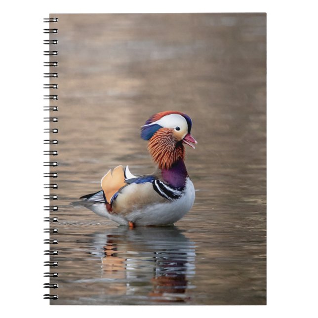 Cuaderno Mandarin Duck (Frente)