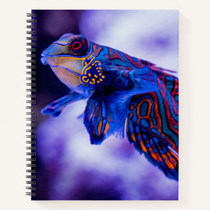 Cuaderno Mandarin Goby Fish