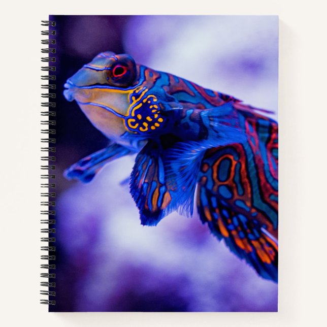 Cuaderno Mandarin Goby Fish (Anverso)