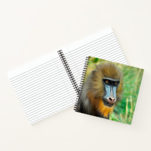 Cuaderno Mandrill 002
