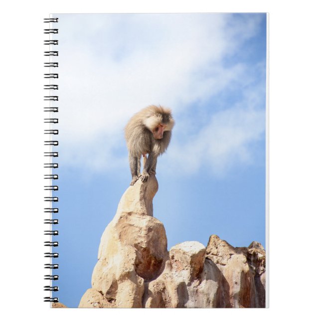 Cuaderno Mandrill en la cima de una montaña (Frente)