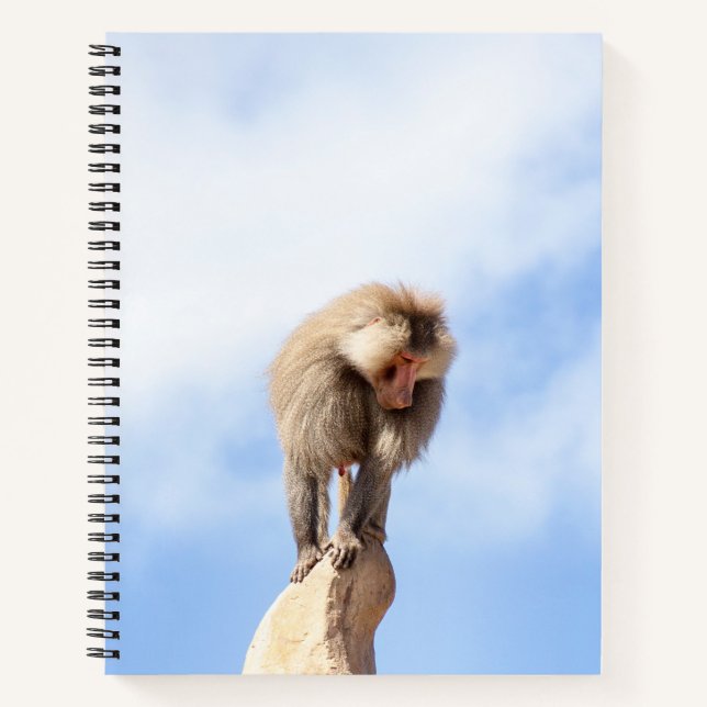 Cuaderno Mandrill en la cima de una montaña (Anverso)