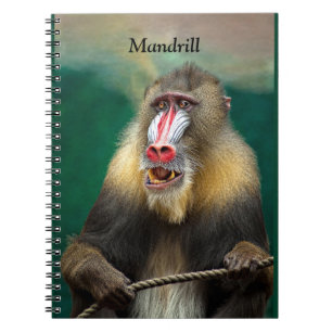 Cuaderno Mandrill, simio africano