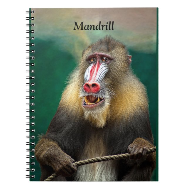 Cuaderno Mandrill, simio africano (Frente)