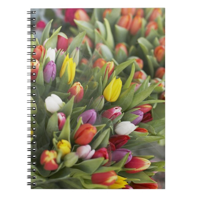Cuaderno Manojos de tulipanes coloridos (Frente)