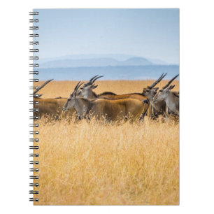 CUADERNO MANTENIMIENTO DE ANTELOPIOS EN EL CAMPO DE LA GRAS