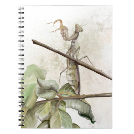 Cuaderno Mantis religiosa acuarela