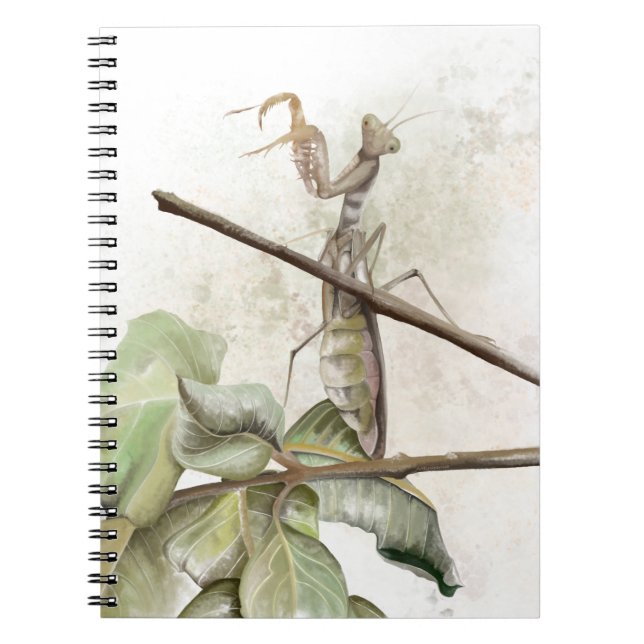 Cuaderno Mantis religiosa acuarela (Frente)