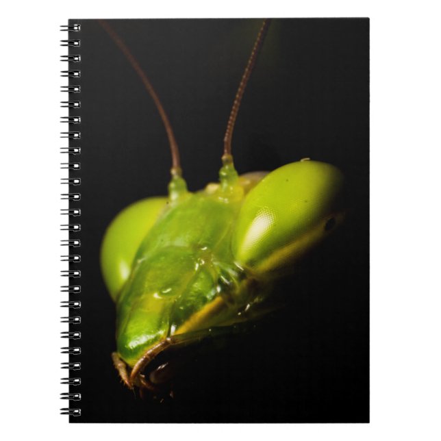 Cuaderno Mantis rezando (Frente)