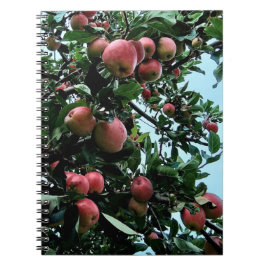 Cuaderno Manzanas