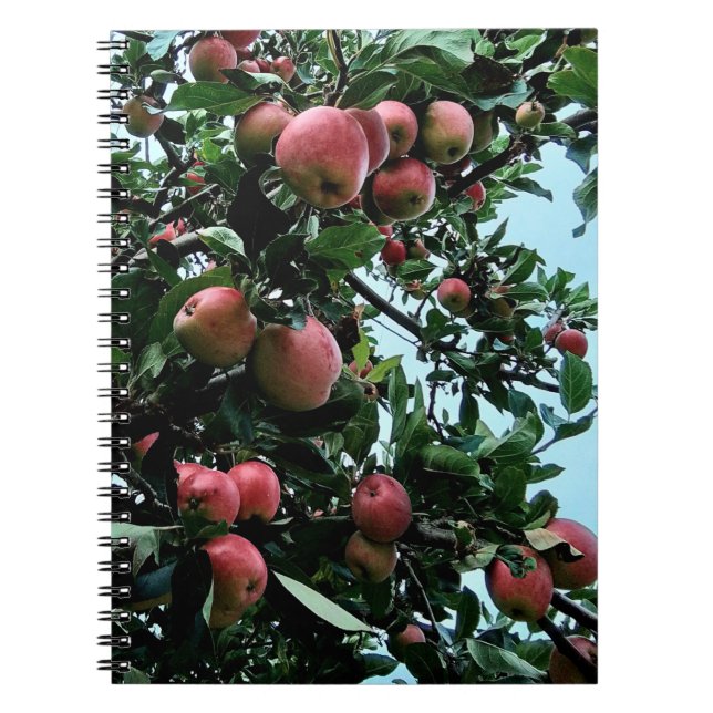 Cuaderno Manzanas (Frente)