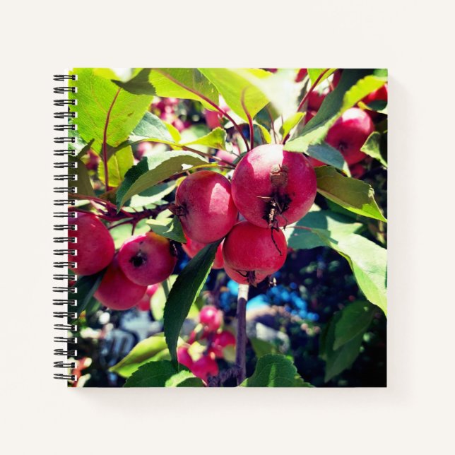 Cuaderno Manzanas de cangrejo en un árbol (Anverso)