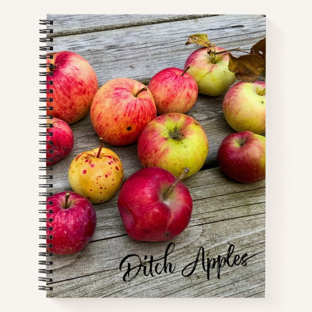 Cuaderno Manzanas de tono (Anverso)