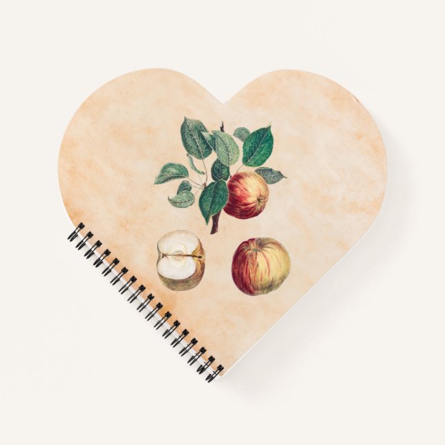 Cuaderno Manzanas rojas con hojas (Anverso)