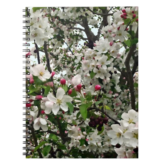 Cuaderno Manzano en Flor (Frente)
