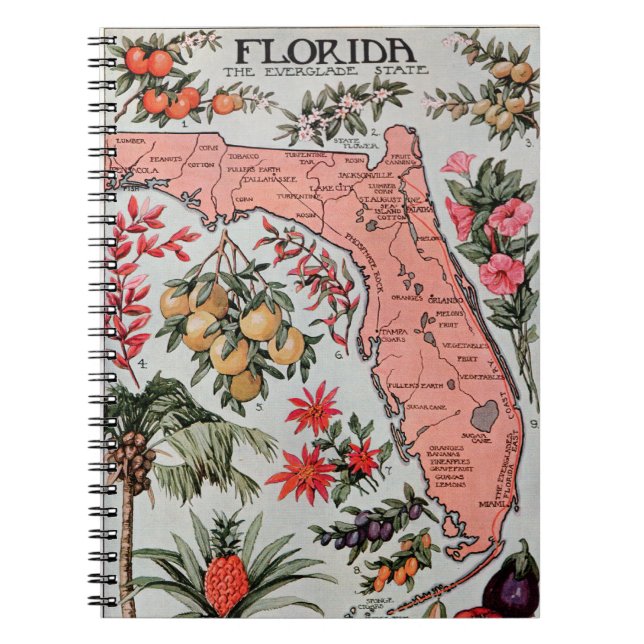 Cuaderno Mapa de la Florida Vintage (Frente)