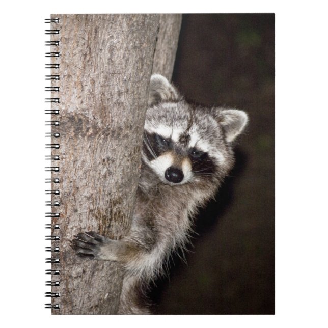 Cuaderno mapache (Frente)