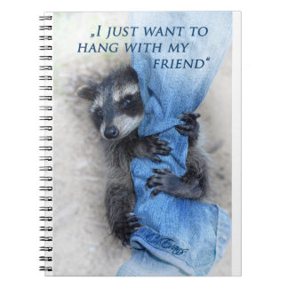 Cuaderno Mapache - relajarse