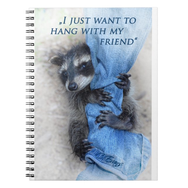 Cuaderno Mapache - relajarse (Frente)