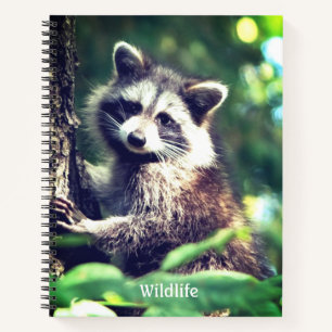Cuaderno Mapache Salvaje en la Jungla