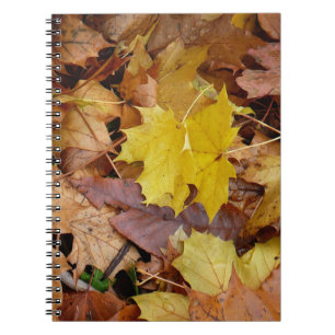 Cuaderno Maple caído deja naturaleza otoño amarilla