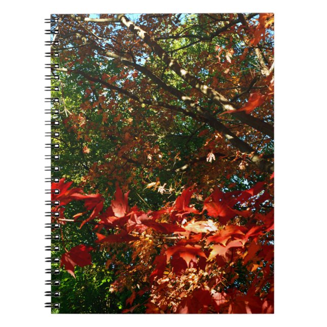 Cuaderno Maple japonés, hojas de árbol de otoño (Frente)