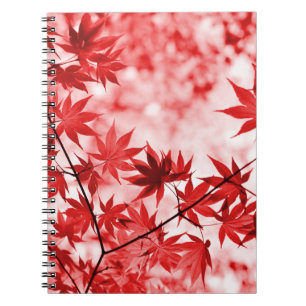 Cuaderno Maple Trees Leaves Design-2997