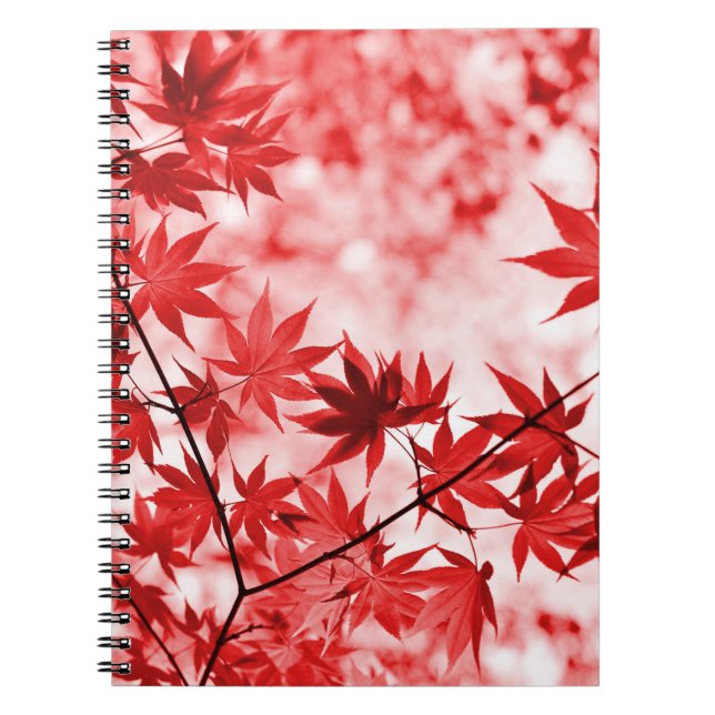 Cuaderno Maple Trees Leaves Design-2997 (Frente)