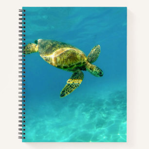 Cuaderno Mar Turquia nadando en aguas turquesas del océano