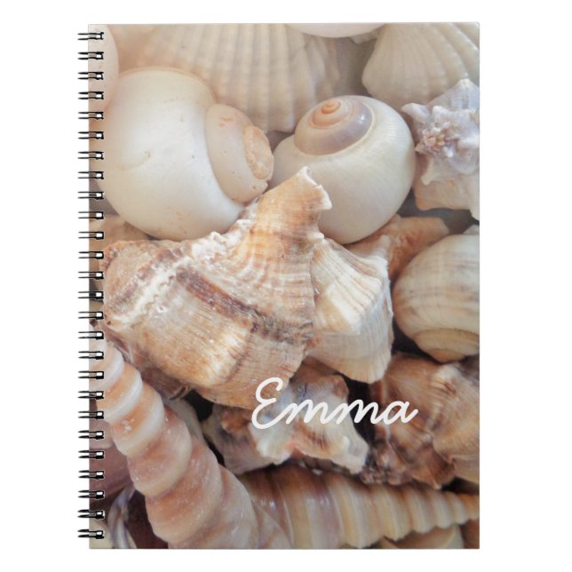 Cuaderno Maravillas soleadas de verano, conchas marinas de  (Frente)