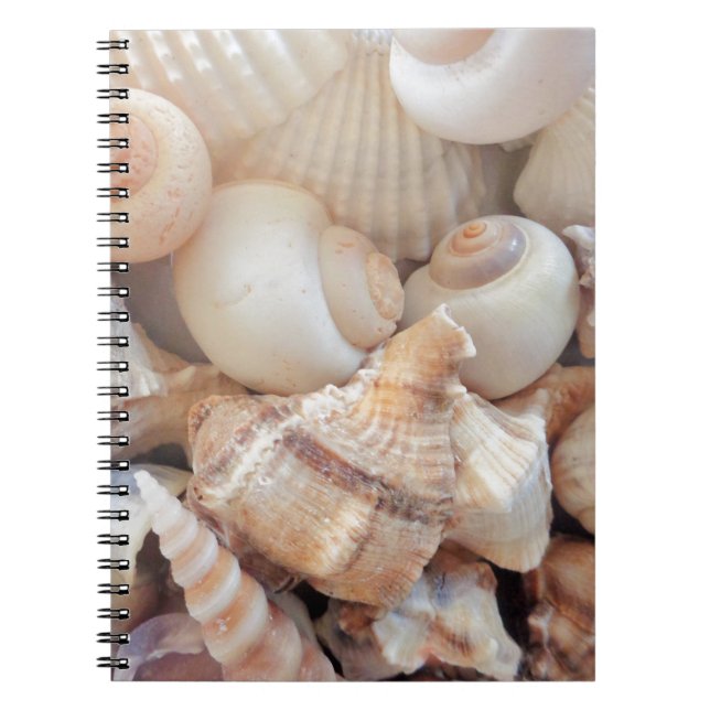 Cuaderno Maravillas soleadas de verano, conchas marinas de  (Frente)