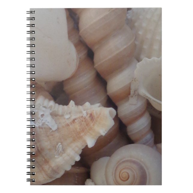 Cuaderno Maravillas soleadas de verano, mariscos de agua de (Frente)