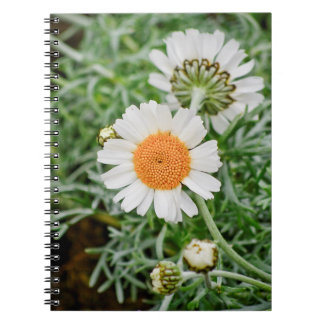 Cuaderno Margarita