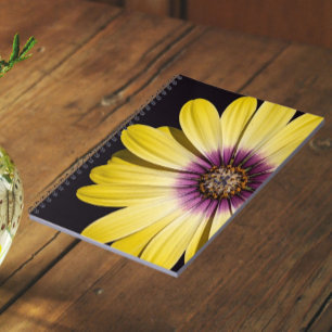 Cuaderno Margarita Africana Amarilla sobre Floral Negro