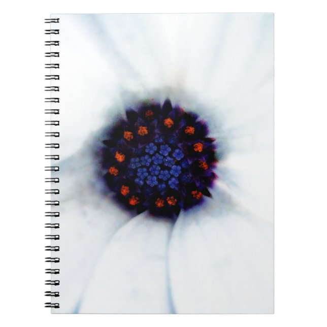 Cuaderno Margarita Africana Flor (Frente)