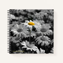 Cuaderno margarita amarilla en un mar de margaritas negras