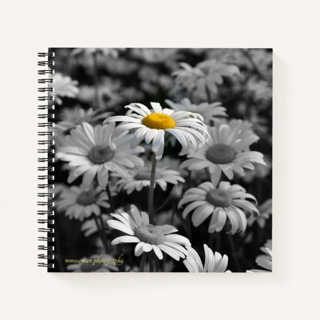 Cuaderno margarita amarilla en un mar de margaritas negras  (Anverso)