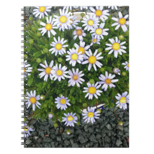 Cuaderno Margarita blanca amarilla florece con guijarros gr