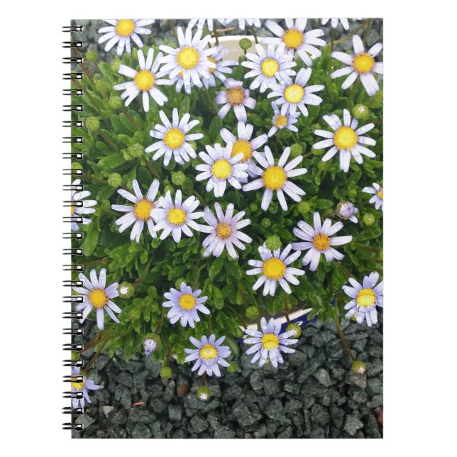 Cuaderno Margarita blanca amarilla florece con guijarros gr (Frente)