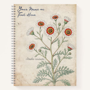 Cuaderno Margarita Botánica Pintada Vintage
