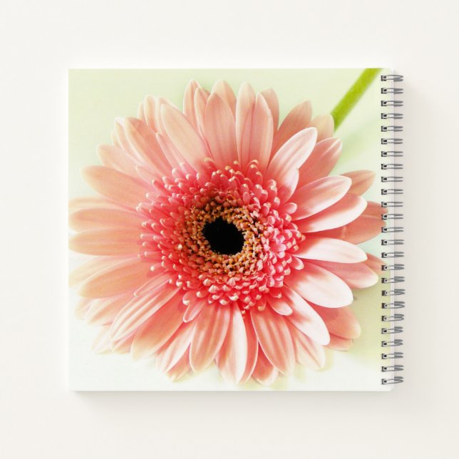 Cuaderno Margarita Gerbera (Reverso)