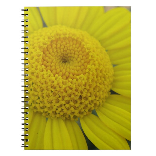 Cuaderno marguerita amarillo bonito (Frente)